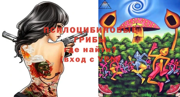 МДПВ Ижевск