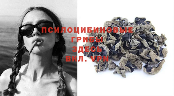 spice Липки