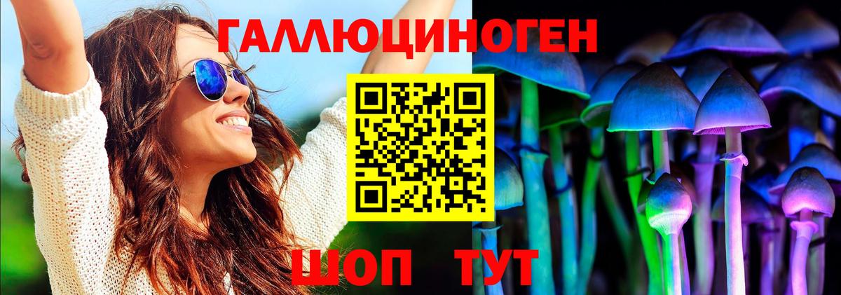 где можно купить наркотик  Серпухов  Галлюциногенные грибы мицелий 